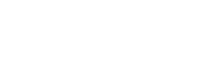 9 d sbi
